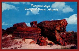 Arizona,  Petrified Forest - Petrified Logs - [AZ-513]