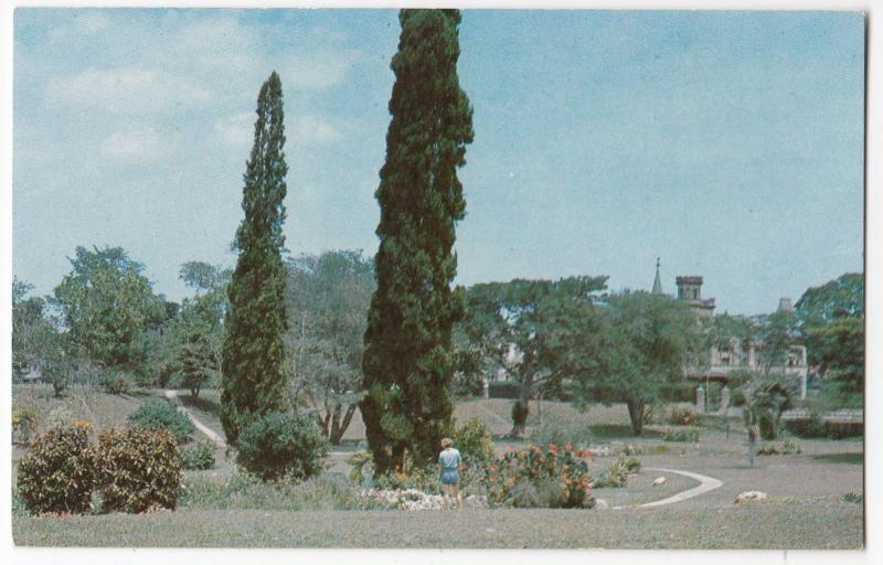 Trinidad; The Rock Garden, Royal Botanic Gardens, Port Of Spain PPC, c 1960's