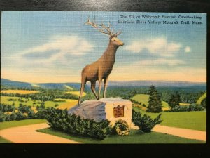 Vintage Postcard 1948 The Elk, Whitcomb Summit, Mohawk Trail (MA)
