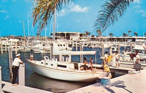 St Petersburg FL Florida Yacht Basin Finest Facilities on West Coast of Florida