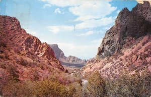 Big Bend National Park Green Gulch  - Big Bend National Park, Texas TX