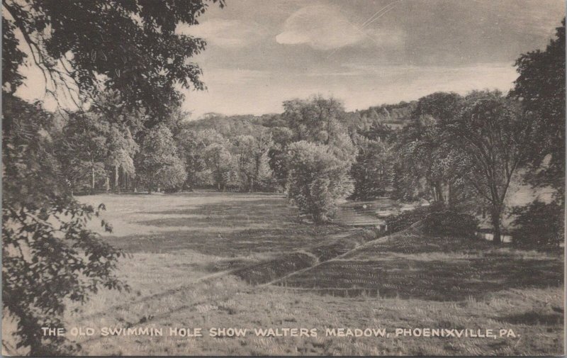 Postcard The Old Swimming Holes Show Walters Meadow Phoenixville PA