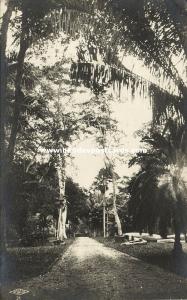 haiti, PORT-AU-PRINCE, Beautiful Spots of the Country (1935) RPPC 