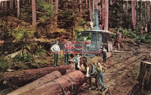 Loggers Logging with Steam Donkey Engine in California, Edward H Mitchell