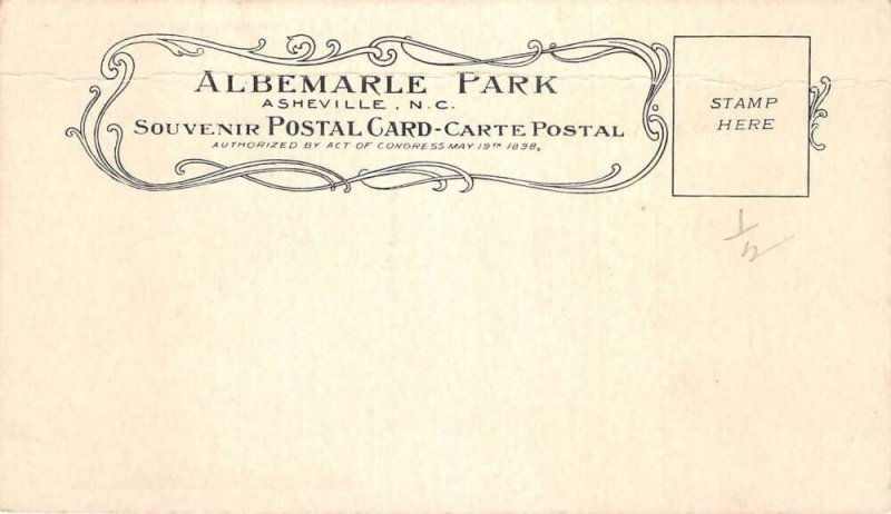 Asheville North Carolina Albemarle Park Western End Birds Eye View PC AA102507