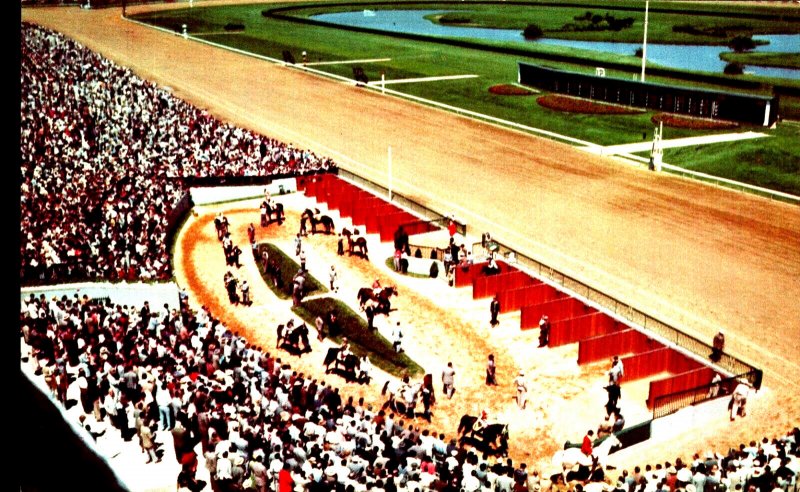 Postcard New Jersey Garden State Park Horse Racing Stadium Track View Chrome Era 