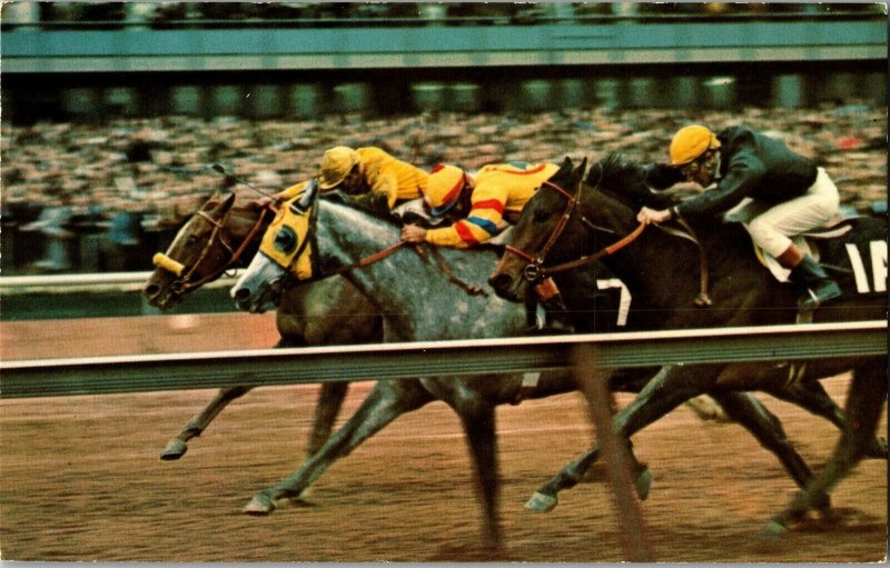 Wood Memorial at Aqueduct April 1969 Race Horses Dike, Al Hattab Postcard H78 