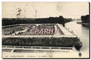 Old Postcard Chenonceaux Chateau Gardens