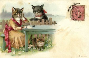 PC CATS, ANTHROPOMORPHIC CATS IN THE GARDEN, Vintage Postcard (b47236)