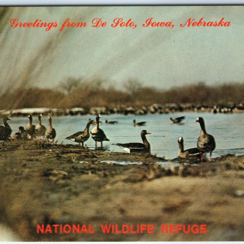 c1970s Missouri Valley, IA De Soto Wildlife Refuge Bertrand Steamer History A306