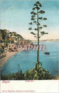 Postcard Modern Napoli Posillipo