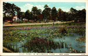 North Carolina West Haven Lily Pond In Wildwood Park Curteich