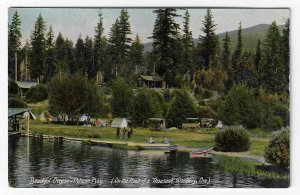 Pelican Bay Oregon Road of a Thousand Wonders Pacific Novelty Co.  Postcard