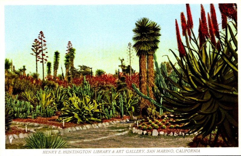 California San Marino The Henry E Huntington Library & Art Gallery The Cactus...