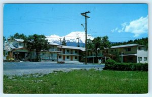 MT.  SHASTA, California CA ~ Roadside ALPINE LODGE MOTEL 1973  Postcard