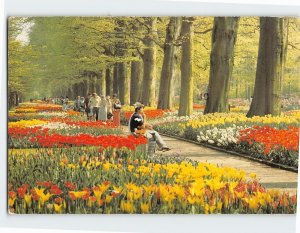 Postcard Keukenhof Lisse Netherlands