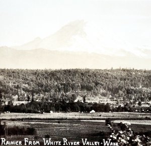 RPPC Mount Rainier From White River Ellis 1920s Washington Pacific NW PCBG6C