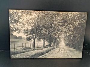 Postcard Early View of  Putney Park Lane,London , UK   1906       Z8