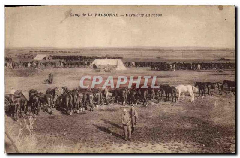 Vintage Postcard Horse Horsemanship Equestrian sports Camp o