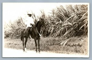 BLACK AMERICANA YOUNG HORSEMAN ANTIQUE REAL PHOTO POSTCARD RPPC