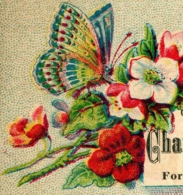 1880's Charles Johnson Assessor-At-Large Butterfly Flowers Image P153 