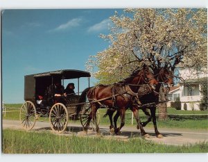 Postcard An Amish Family Near Berlin Ohio USA