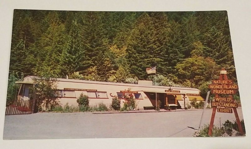 Armstrong Redwoods RPPC Nature's Wonderland Museum Postcard Guerneville CA