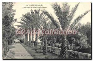 Postcard Old Cap d'Antibes villa Ellenroc M Allee des Palmiers