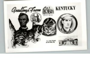 KY Gold Storage Cat Greeting Postcard