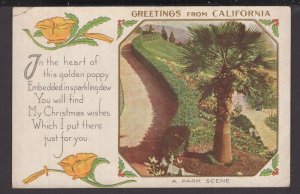 Greetings from California - A Park Scene - Christmas Wishes (embossed) pm1916 DB