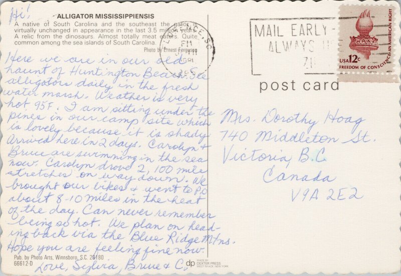 Alligator Mississippiensis South Carolina Gator Vintage Postcard C8