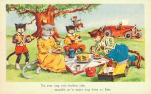 Cats Dressed As Humans Kittens Picnicking Vintage Postcard  06.39