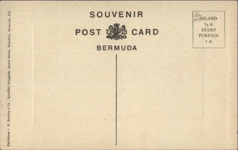 Bermuda St. Davids Lighthouse c1910 JH Bradley Co #270 c1910 Postcard