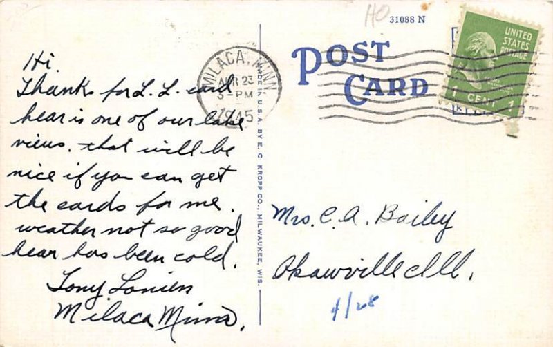 Lake Vermilion  - Virginia, Minnesota MN  