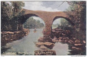 Boat, Bridge, Shooting The Rapids, Killarney (Kerry), Ireland, 1900-1910s