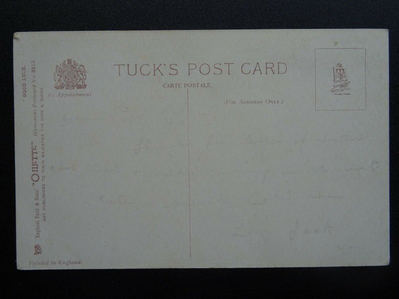 Good Luck WE WANT ALL THE LUCK c1912 Postcard by Raphael Tuck 8813