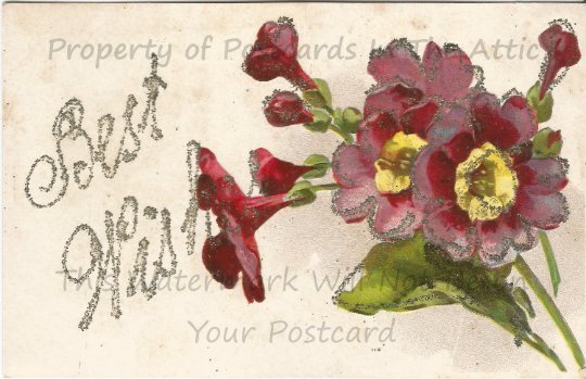 Purple Four O'Clock Flowers Old Fashioned Flower Silver Glitter Vintage Postcard