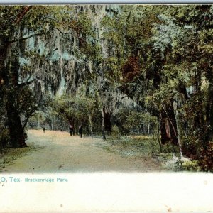 Pre-1907 San Antonio TX Raphael Tuck Brackenridge Park Litho Photo UDB Vtg A15