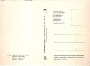 Laberinto De Columnas Laberinto De Columnas, Cordoba