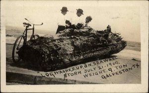 Galveston TX Log Washed Schore 1909 Men Bicycle Real Photo Postcard