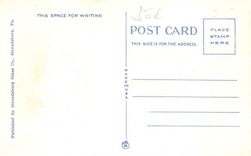 Mountain Laurel Time in the Poconos PA, Pennsylvania - WB