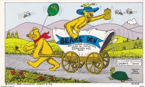 SHEBOYGAN , Wisconsin , 1950-60s ; Bears QSL