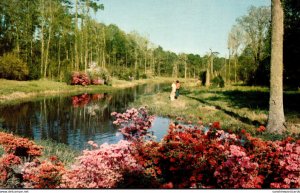 Mississippi Biloxi Jefferson Davis Shrine Lagoon At Beauvoir