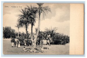 c1910 Riding Camel, Fontaine De Moise, Suez Egypt Antique Unposted Postcard