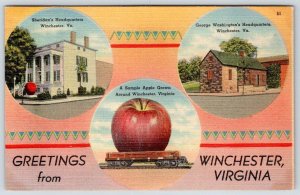 1940's GREETINGS FROM WINCHESTER VIRGINIA VA EXAGGERATED APPLE ON TRAIN POSTCARD