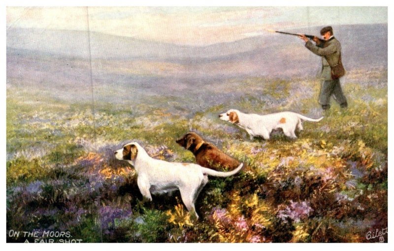 Dog , Hunting Dogs , On the Moors. A Fair Shot