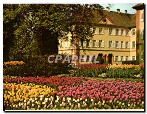 Old Postcard Insel Mainau im Bodensee Tulpen vor dem Deutsch Ordensschlob