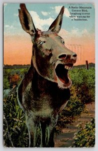Rocky Mountain Canary Bird Laughing It Over Donkey Mule Postcard R27