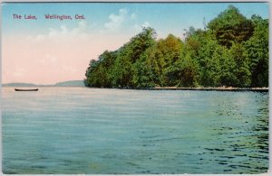 The Lake Wellington Ontario Postcard H81