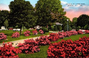 Alabama Mobile Lyons Park Azaleas In Bloom